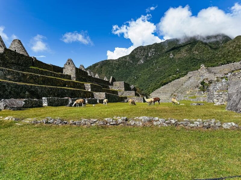 machu-picchu-circuit-1-entry-ticket