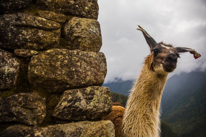 machu-picchu-day-trip-by-train-from-cusco