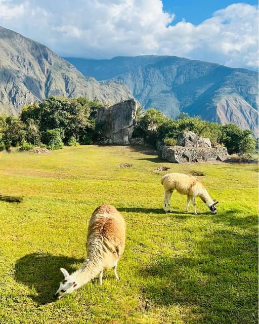 machu-picchu-entry-ticket-and-bus-from-aguas-calientes