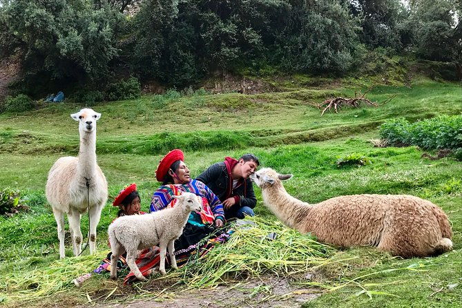 machu-picchu-full-day-from-cusco