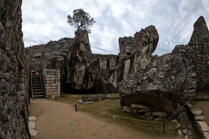 machu-picchu-full-day-group-services