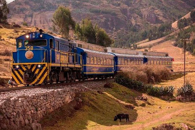 machu-picchu-full-day-tour-1-day-train-trip