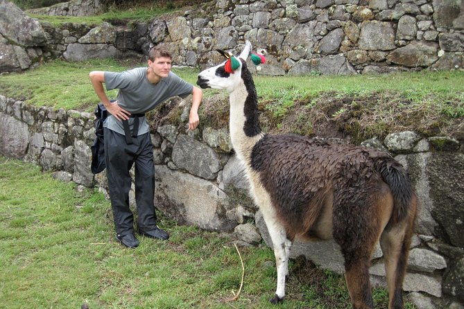 machu-picchu-full-day-tour-5