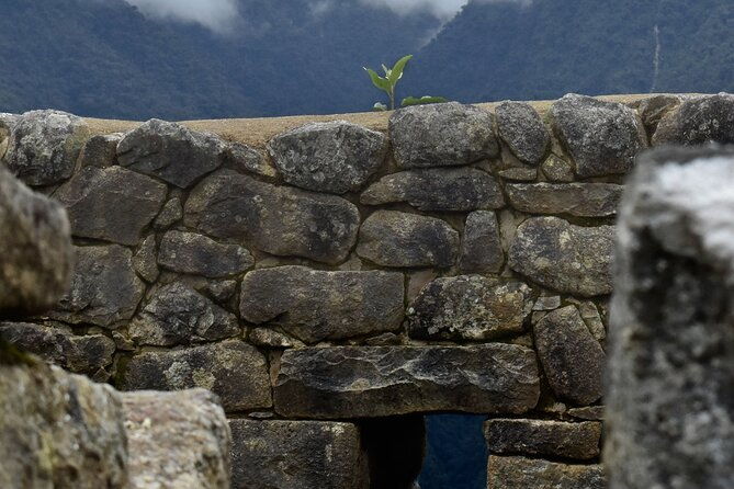 machu-picchu-full-day-tour-by-train-expedition