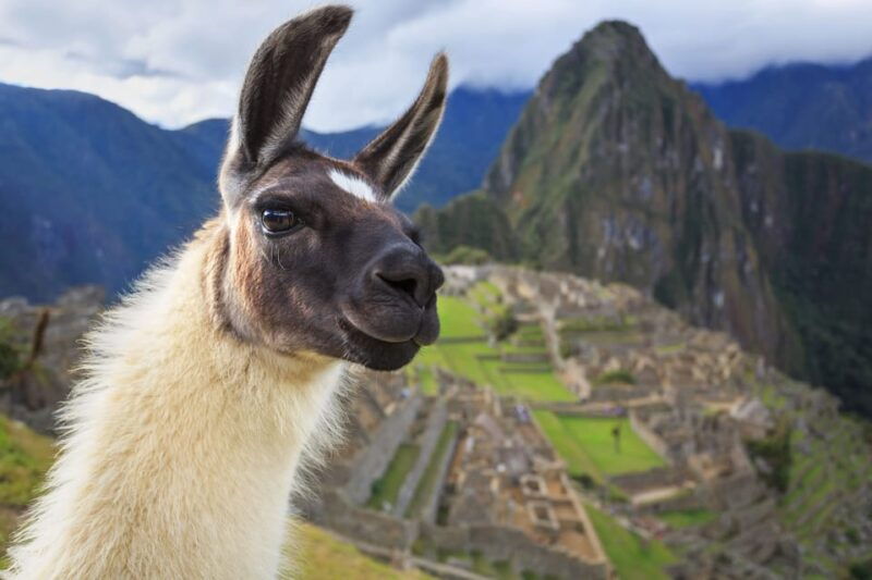 machu-picchu-full-day-tour-from-cusco-4