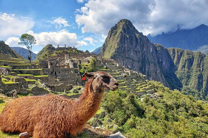 machu-picchu-full-day-tour-with-a-private-guide