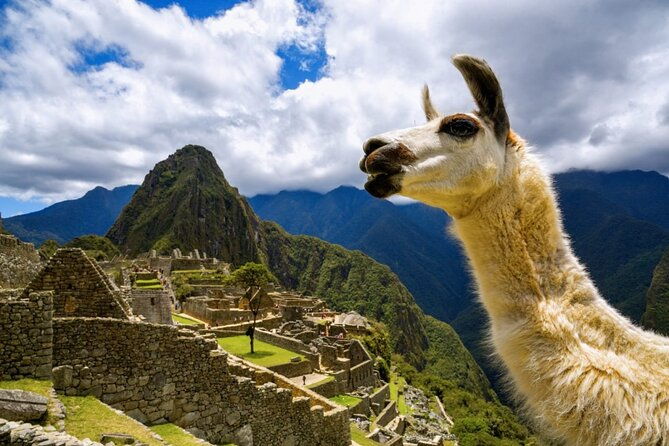 machu-picchu-full-day-with-lunch-by-aludi-travel