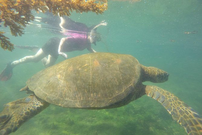 machu-picchu-galapagos-islands-tour-10-days