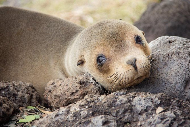 machu-picchu-galapagos-islands-tour-10-days