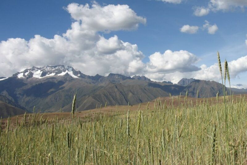 machu-picchu-private-full-day-tour-with-afternoon-entrance