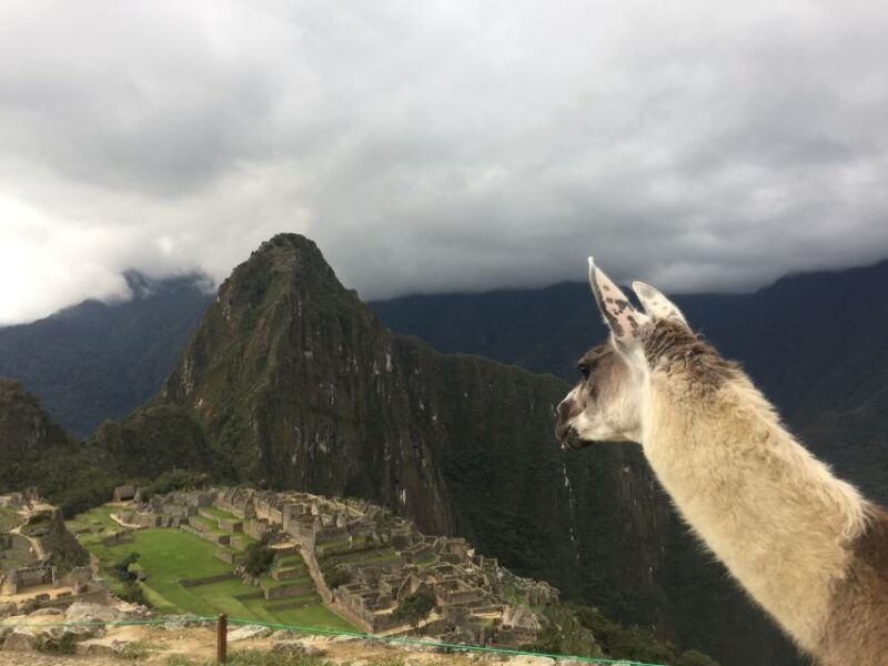 machu-picchu-private-tour-guide-service-2