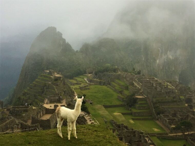 machu-picchu-private-tour-guide-service-2