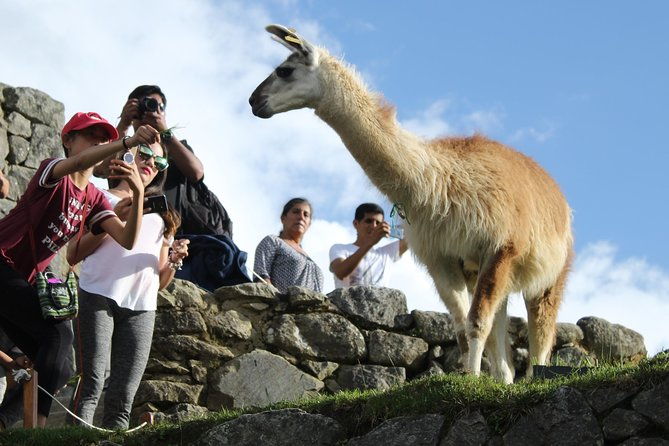 machu-picchu-tour-from-cusco-full-day