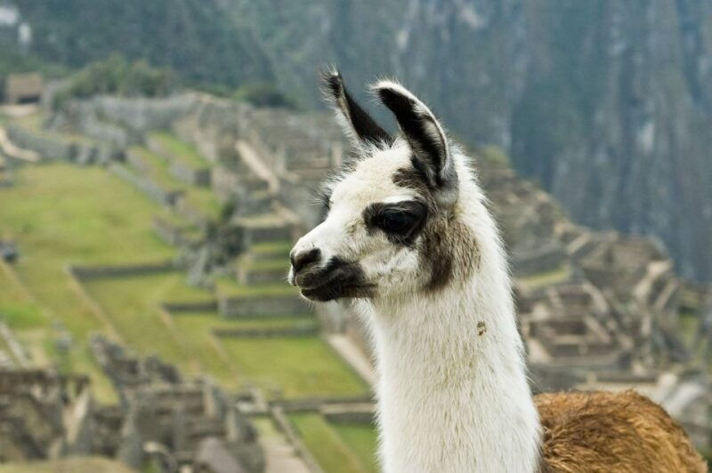machu-picchu-tour-huayna-picchu-mountain-2