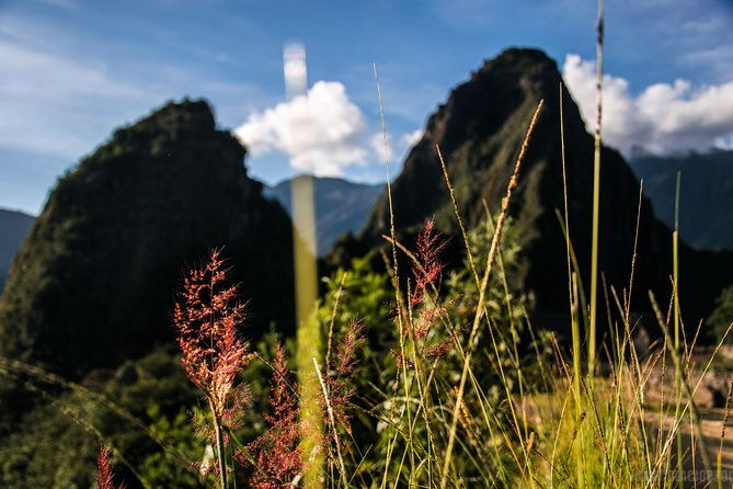 machu-picchu-trips-one-day-tour-with-inca-rail-train-from-cusco