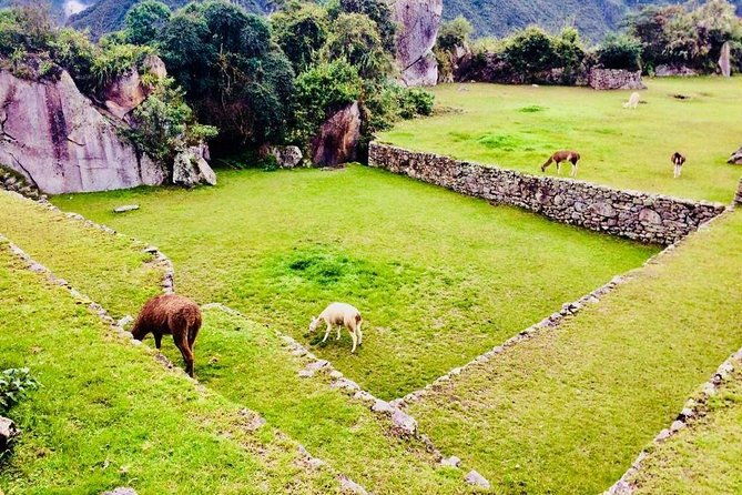 machu-picchu-wonder-of-the-modern-world