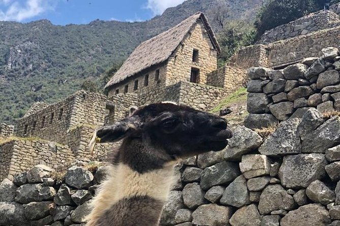 machupicchu-full-day-3