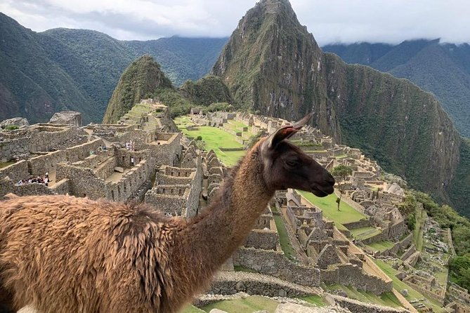machupicchu-full-day-3