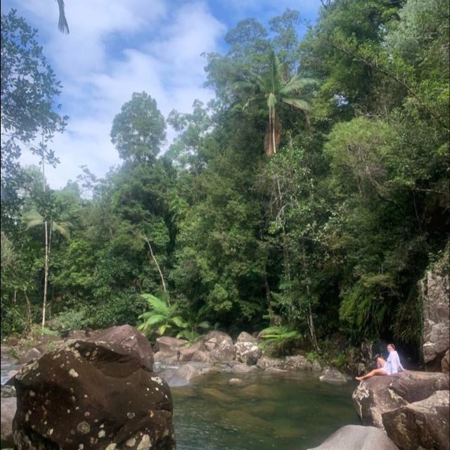 Mackay: Finch Hatton Gorge Hike, Swim & Platypus Adventure - Exploring the Finch Hatton Gorge Hike, Swim & Platypus Adventure: A Complete Review