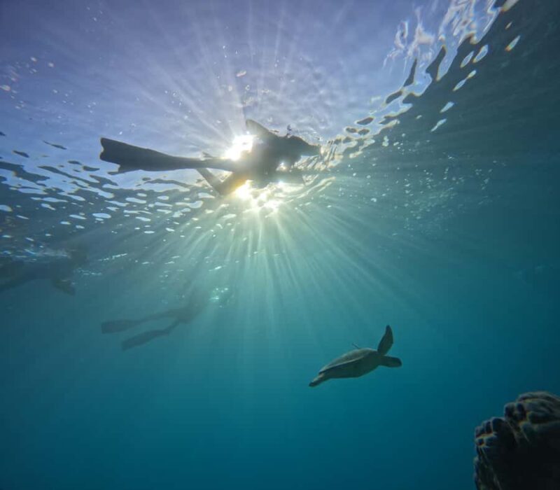 Mactan: Freediving and Island Hopping with lunch - The Itinerary Breakdown: What You Can Expect