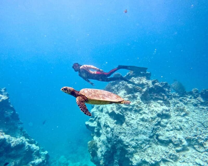 Mactan: Freediving and Island Hopping with lunch - Frequently Asked Questions