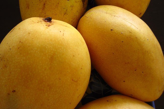 Mactan Island and Cebu in One Day with Lunch - Practical Details and Why They Matter