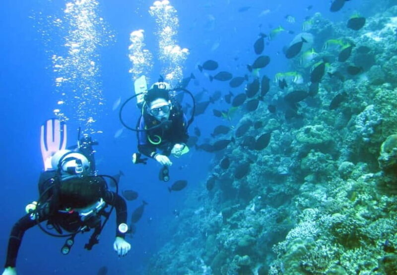 Mactan: PADI Open Water Diver Certification Course - Introduction: Why Consider a PADI Open Water Certification in Mactan?