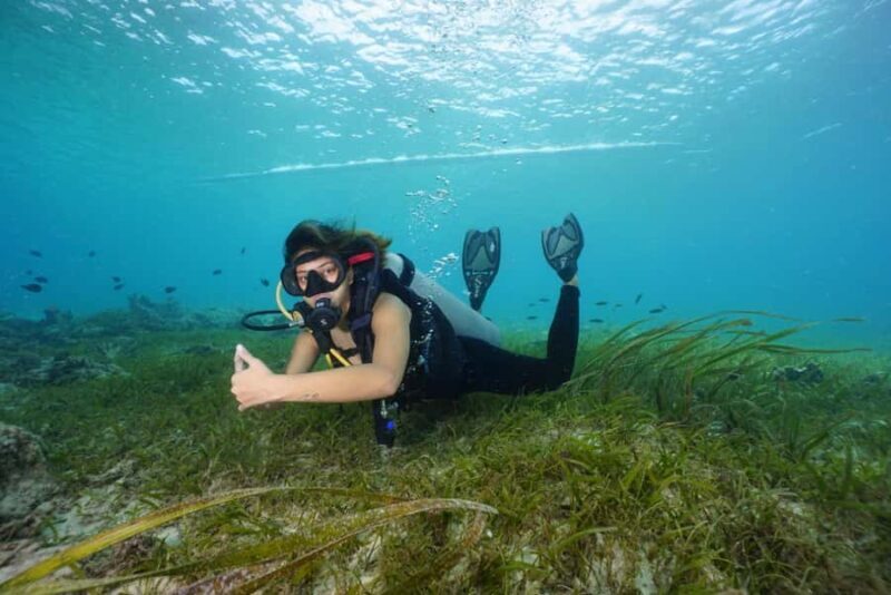 Mactan Sanctuary: Discover Scuba Diving, Island Hop, & Lunch - Key Points