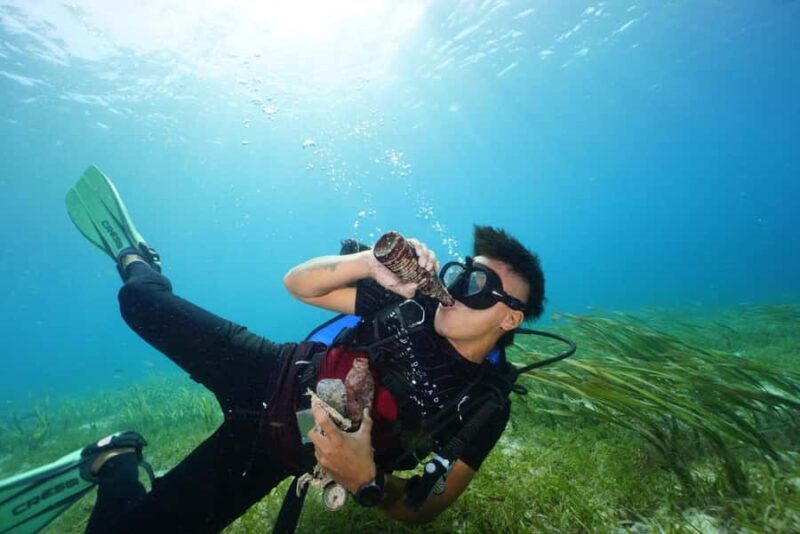 Mactan Sanctuary: Discover Scuba Diving, Island Hop, & Lunch - Practical Details and Considerations