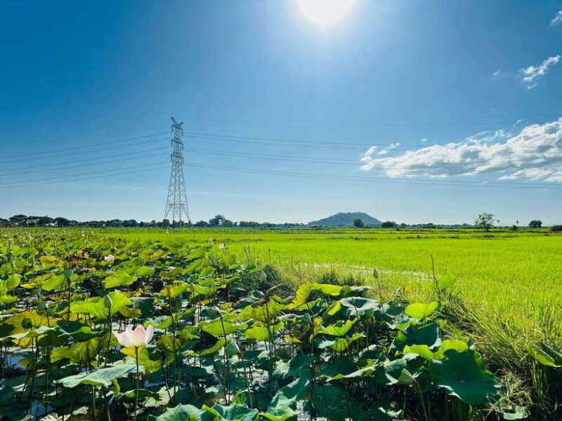 mad-monkey-siem-reap-sunset-countryside-cycling-tour
