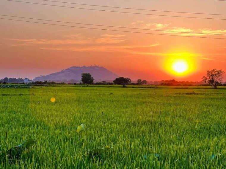 mad-monkey-siem-reap-sunset-countryside-cycling-tour