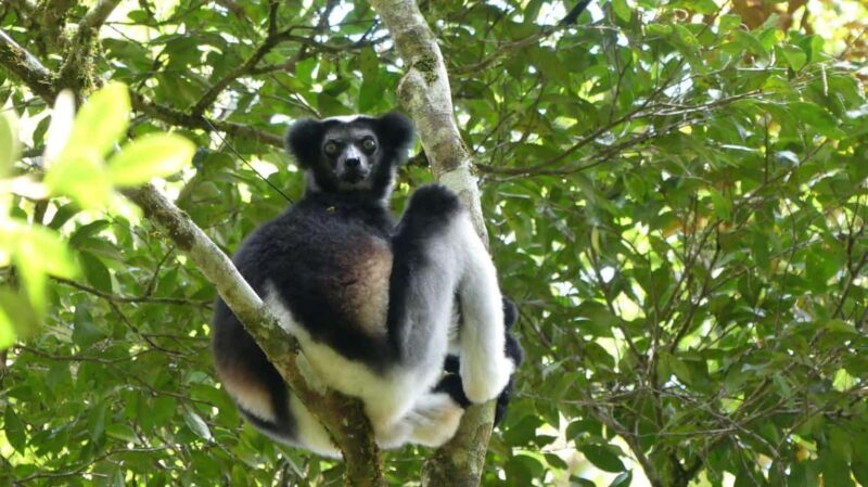 Madagascar: Customizable Tour with Car Rental Antananarivo - An In-Depth Look at the Madagascar Customizable Tour