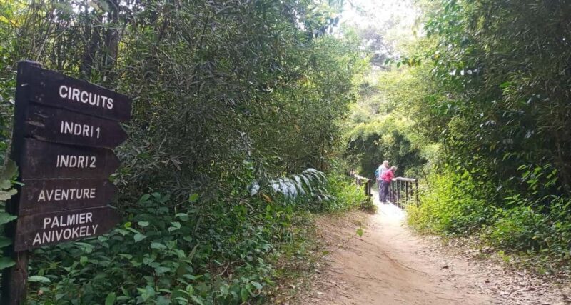 Madagascar: Indri Lemur Encounter Experience 4-days trip - Final Thoughts