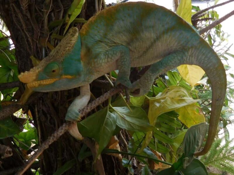 Madagascar: Nature and Discovery Tour - The Value of This Tour