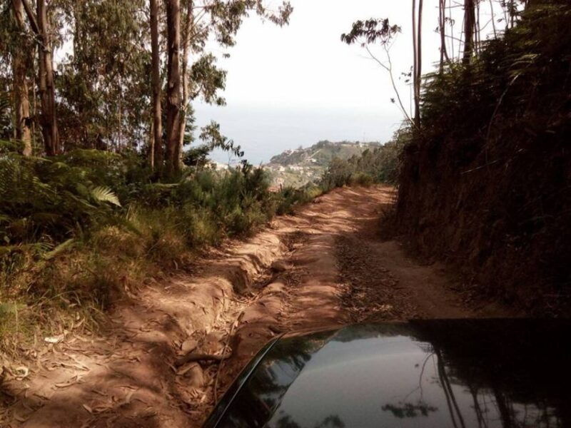 madeira-2-full-day-1-half-day-4x4-jipe-special-tour-combo