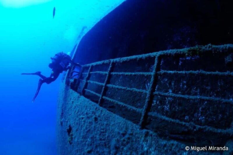 Madeira: 4-hour Scuba Dive from Porto Santo Island - Additional Experiences and Value
