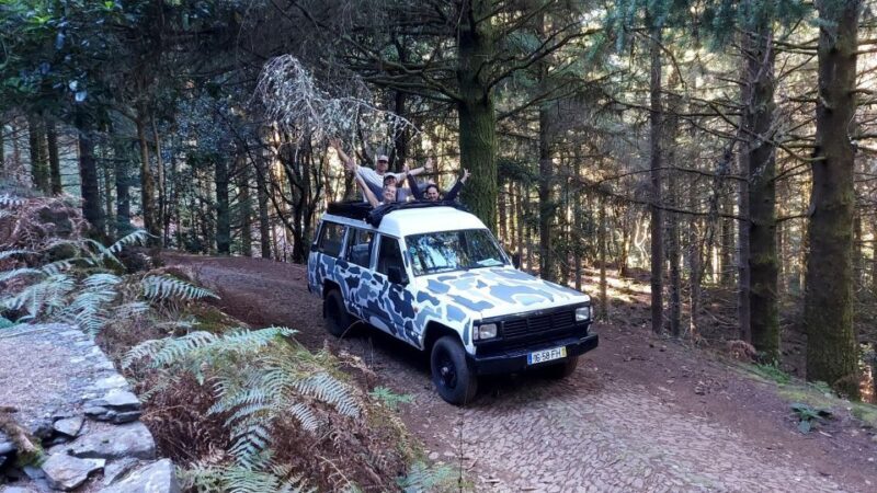 Madeira: 4 hours Open Roof Jeep tour in Central Madeira - Key Points