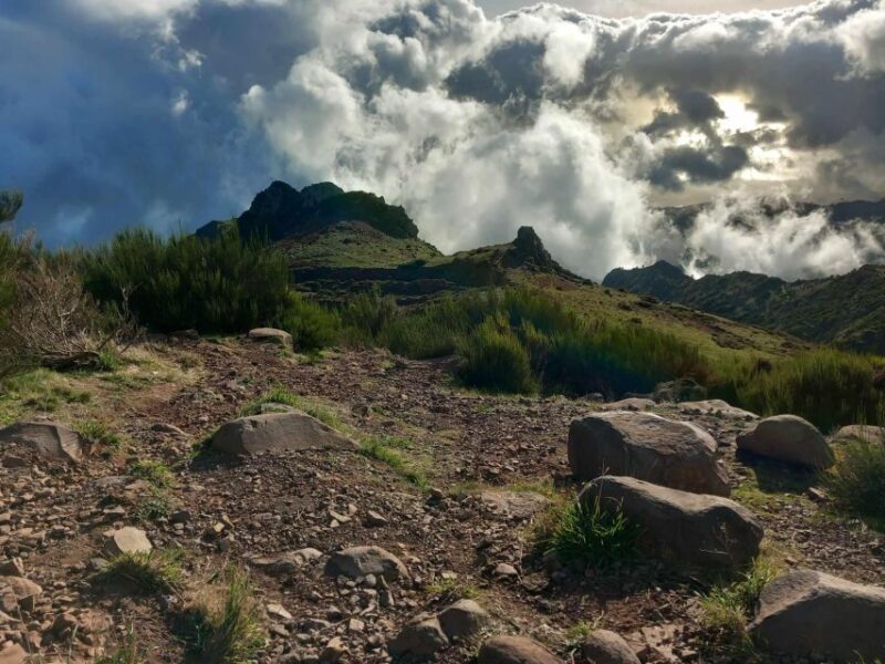 Madeira 4x4 Jeep Safari: Porto Moniz, Lava Pools & Fanal - The Highlights: Why You Should Consider This Tour