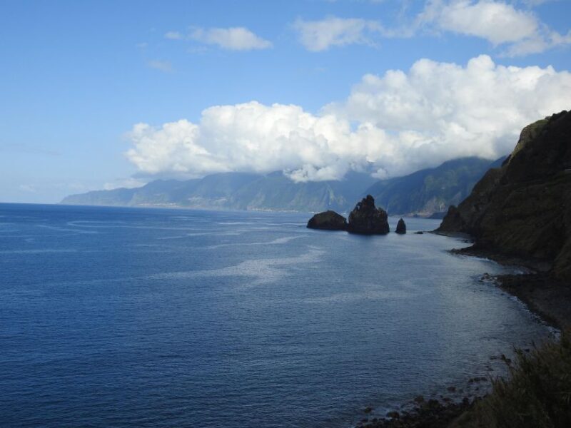 Madeira 4x4 Jeep Safari: Porto Moniz, Lava Pools & Fanal - Who Should Book This Tour?