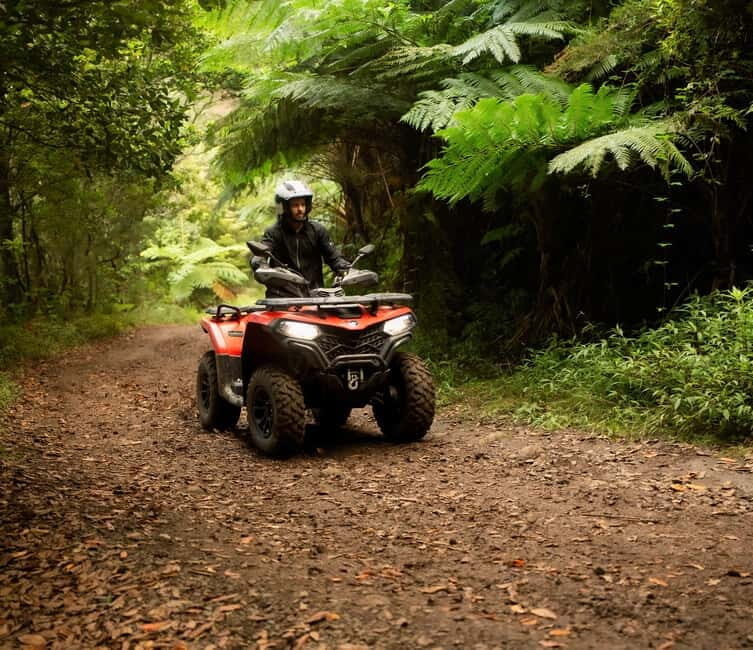 Madeira: Aventura Off-Road de ATV ou Quad - Adrenalina - An In-Depth Look at the Tour