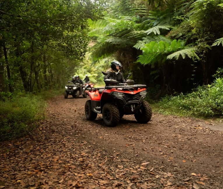Madeira: Aventura Off-Road de ATV ou Quad - Adrenalina - The Sum Up