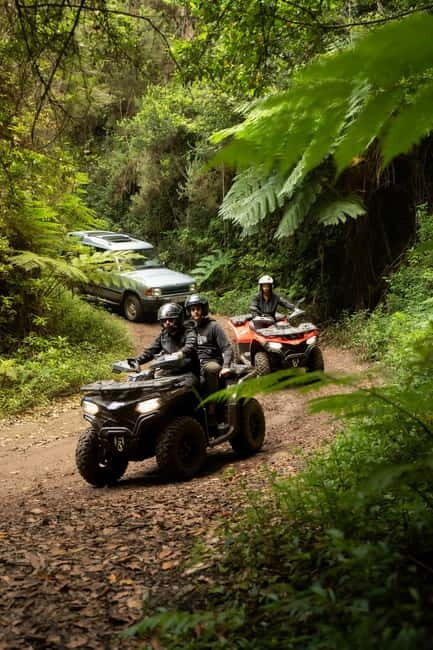 Madeira: Aventura Off-Road de ATV ou Quad - Adrenalina - Who Is This Tour Perfect For?
