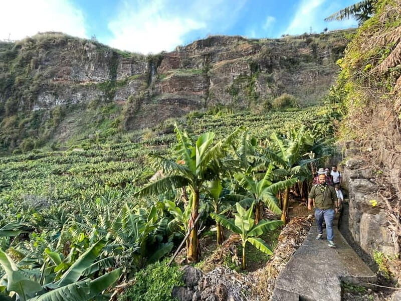 Madeira: Banana Plantation Guided Tour with Tasting - Why This Tour Is a Great Choice