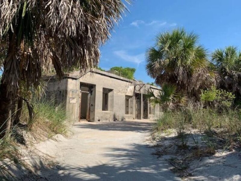 Madeira Beach: Egmont Key Snorkeling and Dolphin Cruise - Key Points