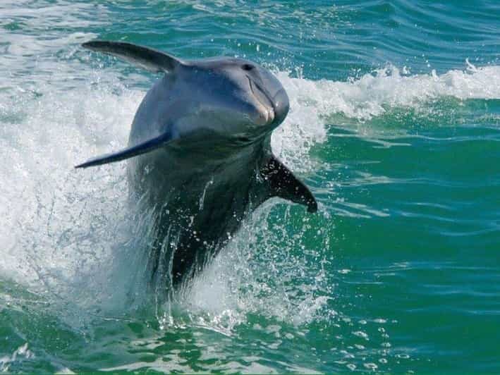 Madeira Beach: Egmont Key Snorkeling and Dolphin Cruise - The Historical Component