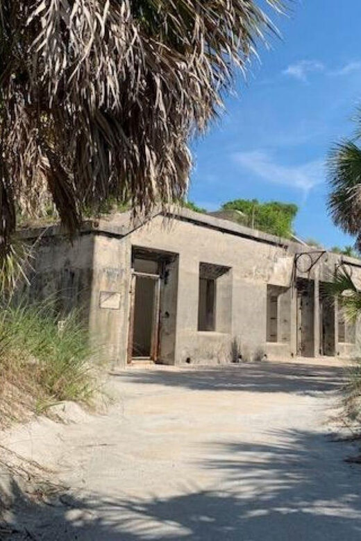 Madeira Beach: Egmont Key Snorkeling and Dolphin Cruise - Cost and Value