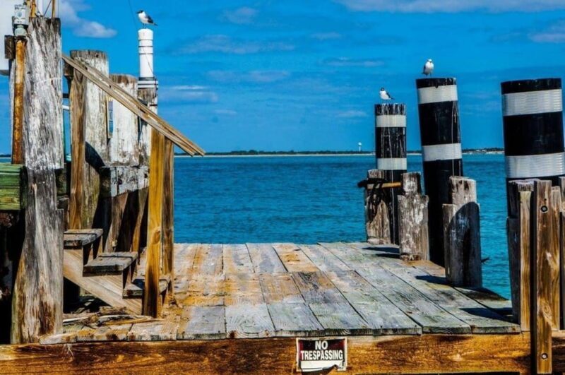 Madeira Beach: Egmont Key Snorkeling and Dolphin Cruise - Who Should Book This Tour?