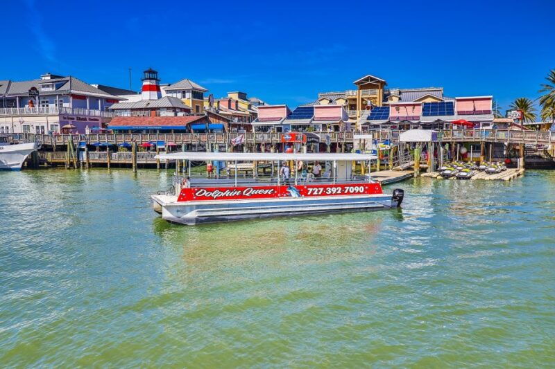 madeira-beach-guided-dolphin-watching-eco-friendly-cruise