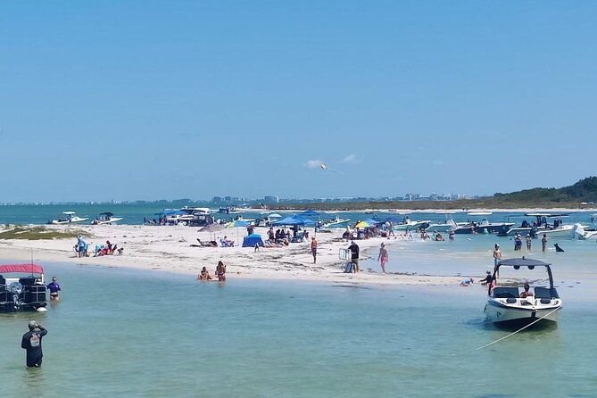 madeira-beach-shell-key-dolphins-half-day-private-boat-tour