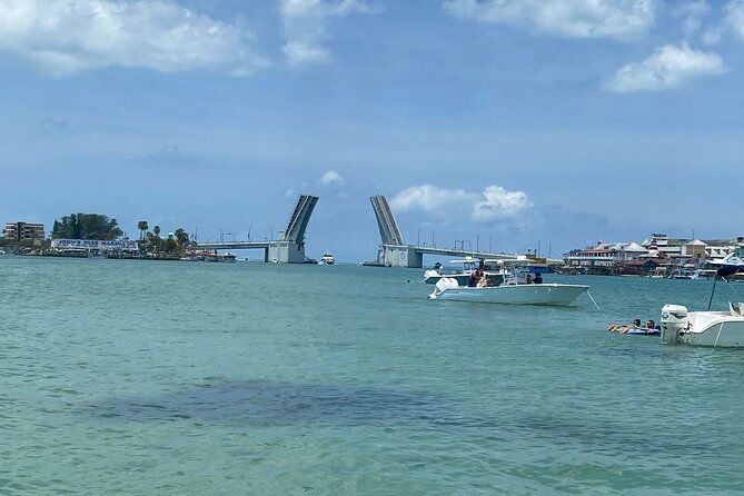 madeira-beach-shell-key-dolphins-half-day-private-boat-tour